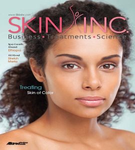 skin inc