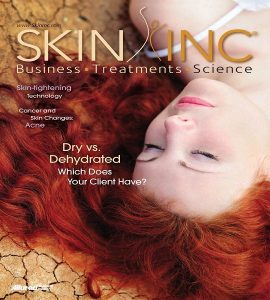 skin inc