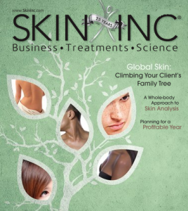 skin inc